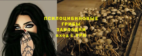 гидра Пролетарск