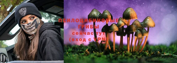 гидра Пролетарск