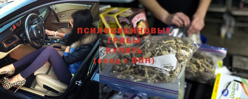 Псилоцибиновые грибы Psilocybine cubensis  продажа наркотиков  Ардатов 