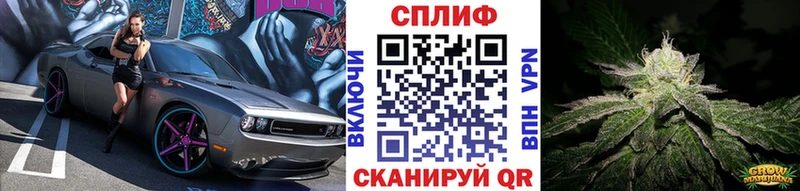 Каннабис конопля  Ардатов 